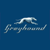 Greyhound Logo